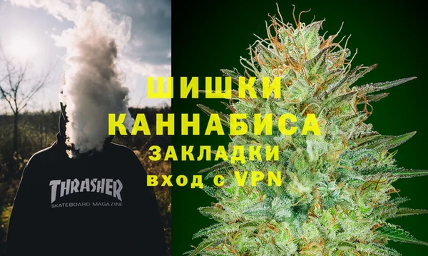 гашик Алексин